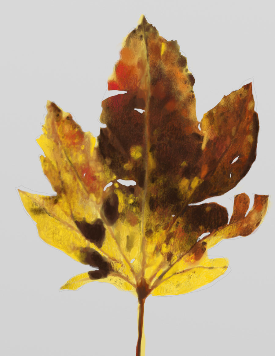 leaves (rectangle)